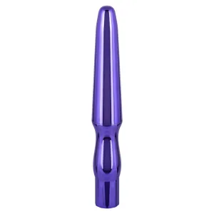 CalExotics Rechargeable Anal Probe